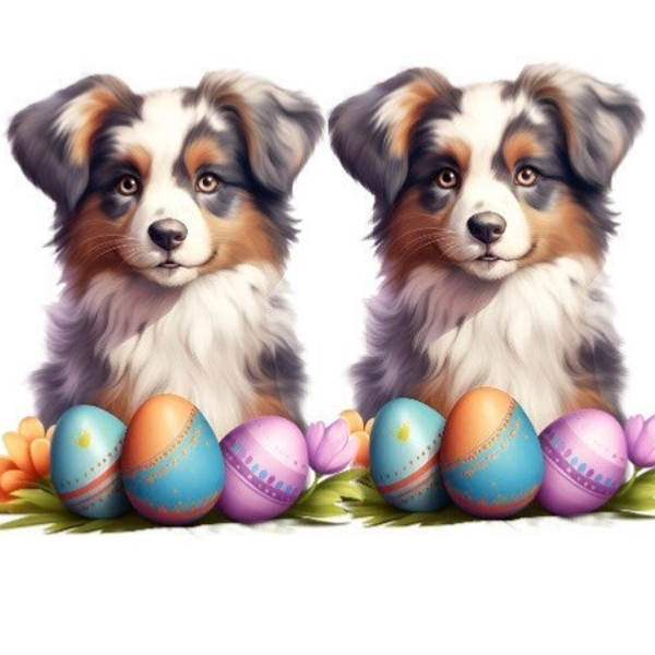 TWO Dogs - 12 Weeks