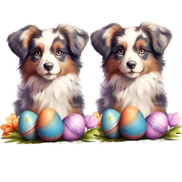 TWO Dogs - 4 weeks