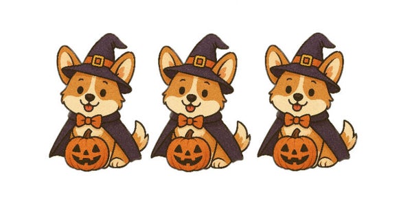 THREE Dogs - 1 Year