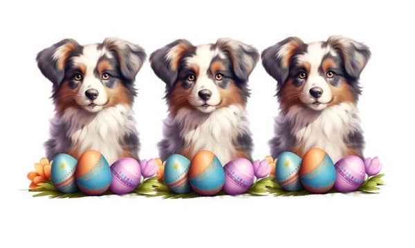 THREE Dogs - 1 Year