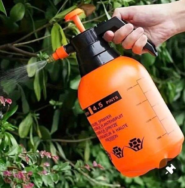 Deodorizing Treatment
