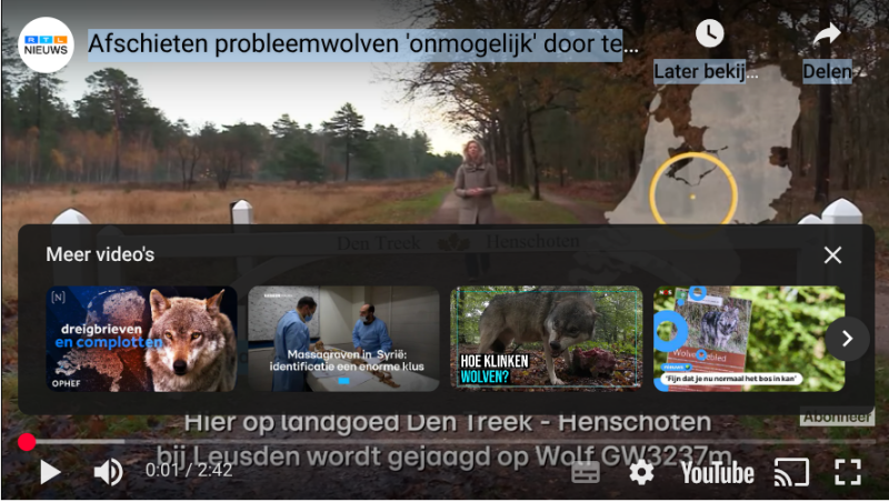 RTL Nieuws Afschieten probleemwolf onmogelijk