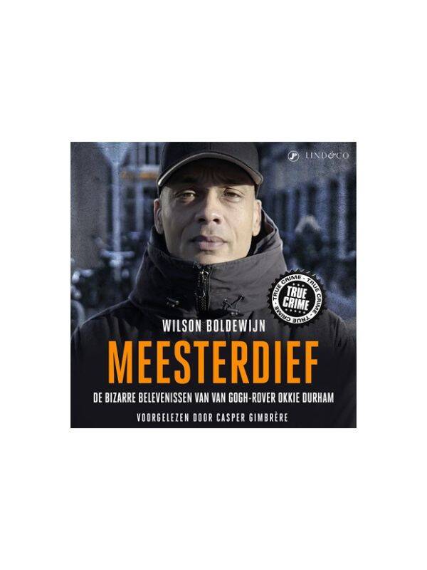 Boek Meesterdief door Wilson Boldewijn