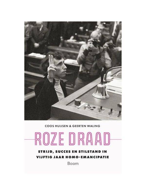 Boek Roze draad