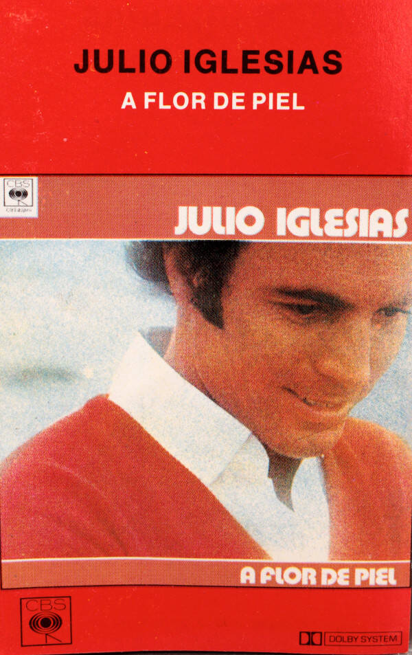 Julio Iglesias - A Flor De Piel