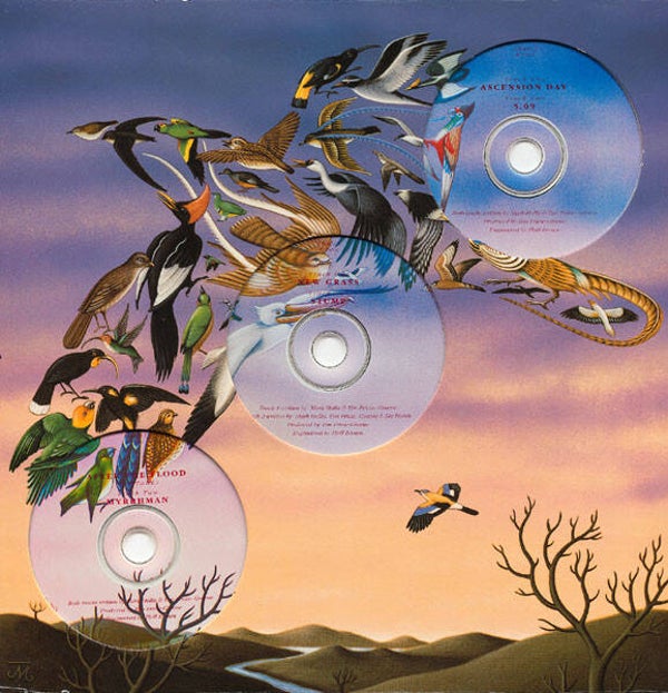 Talk Talk - After The Flood (Outtake)