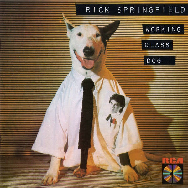 Rick Springfield - Working Class Dog