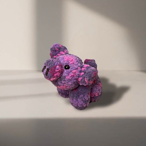 Piggy