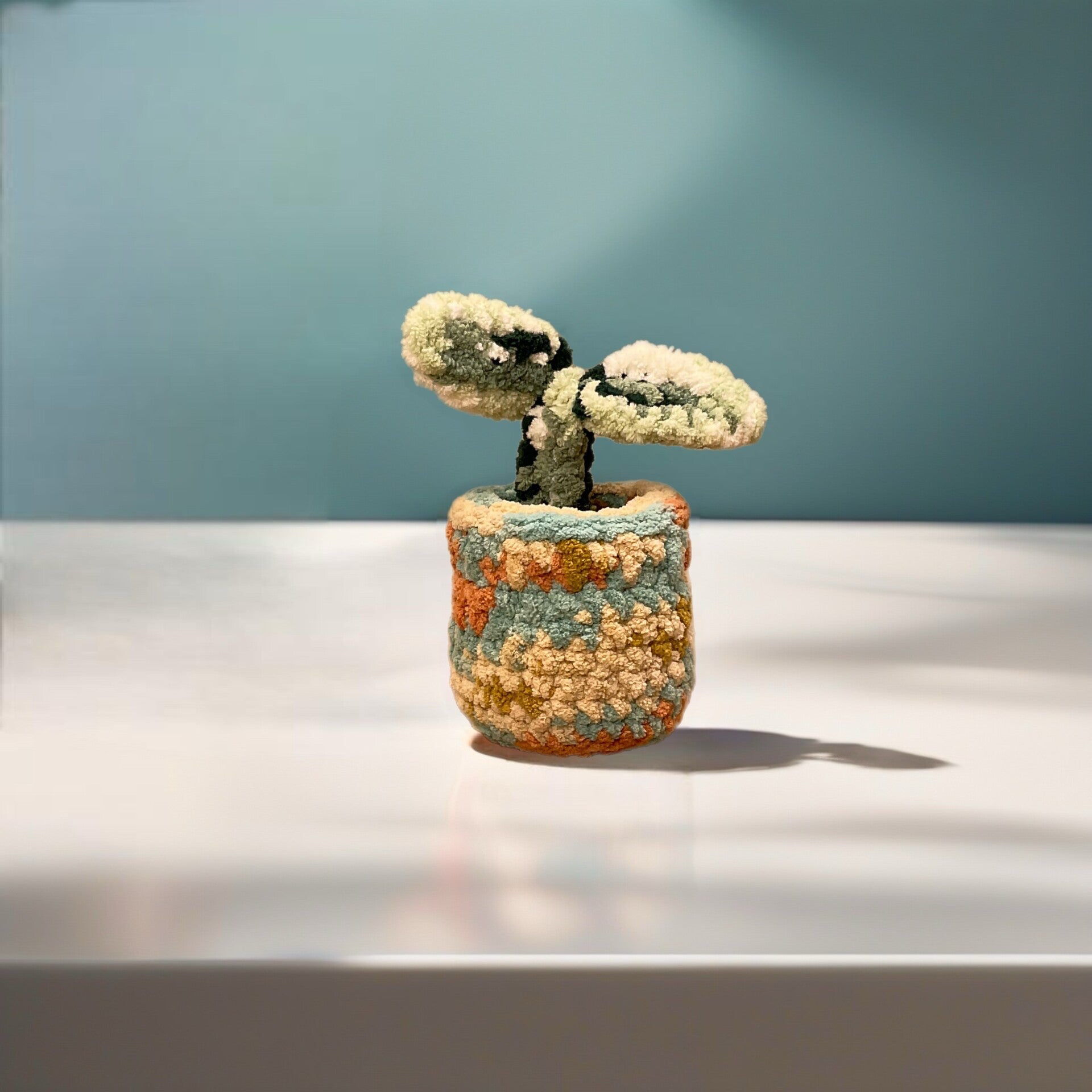 Desk Planter