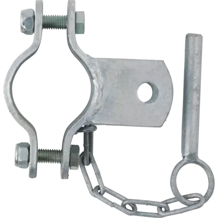 Bride 60 divers types