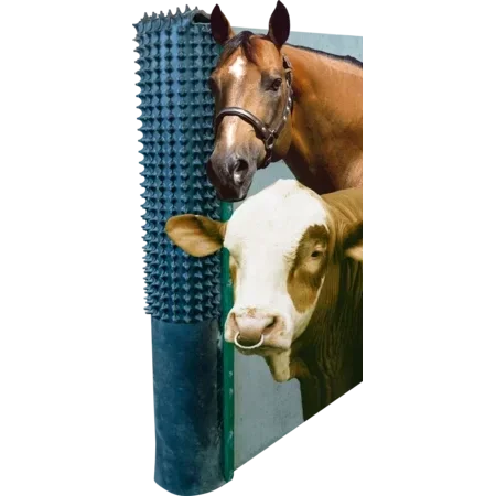 Tapis de grattage, vis de montage et baguettes de fixation incluses