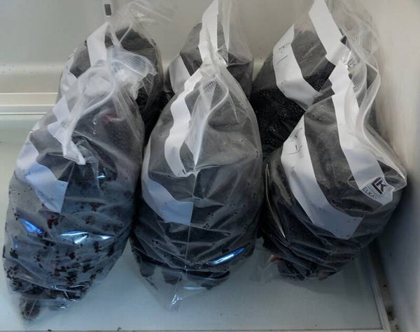 Blackberry Frozen gallons