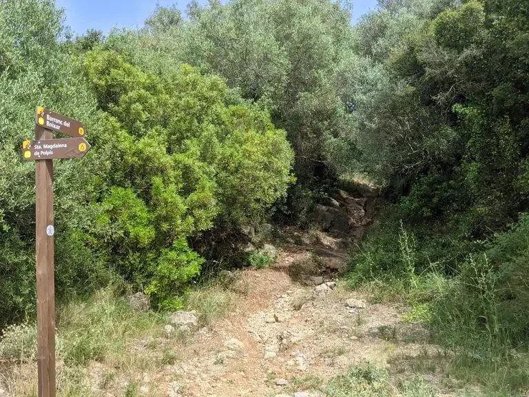 Barranco del Boixar