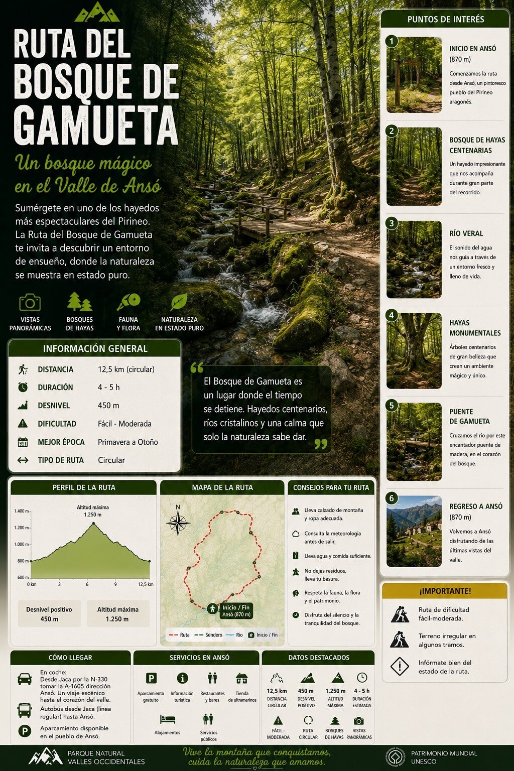 Zuriza - Ruta Bosque de Gamueta