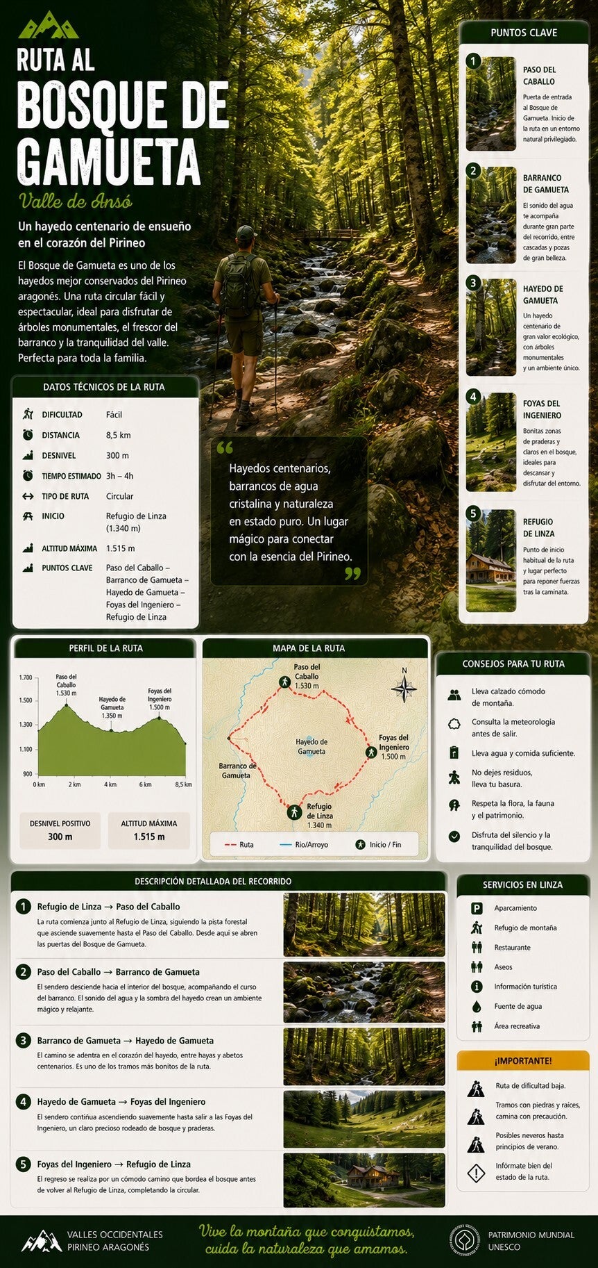 Bosque de Gamueta - Selva de Oza