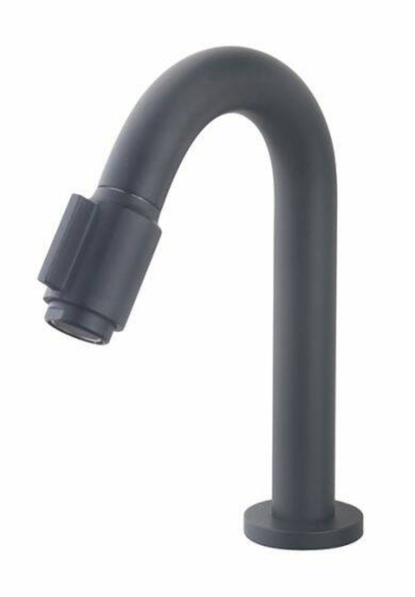 Wiesbaden "Victoria" toiletkraan Mat-zwart