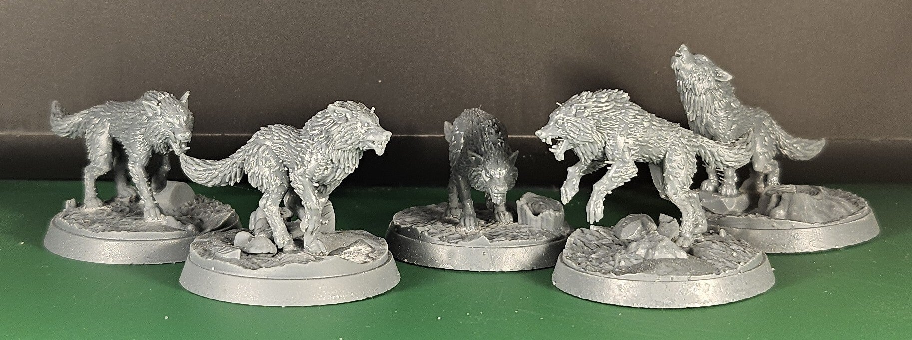 Dire Wolves (wolf pack of 5 wolves)