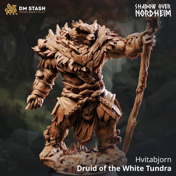 Hvitabjorn - Druid of the White Tundra