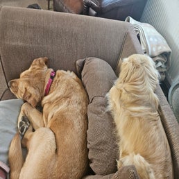1000044761-standard.jpg