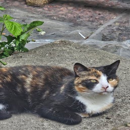 20240521_134338-standard.jpg