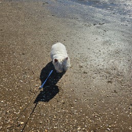 20240917_135342-standard.jpg
