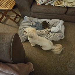 20241129_170710-standard.jpg