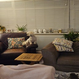 20241129_175156-standard.jpg