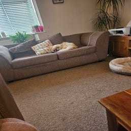 20241203_082439-standard.jpg