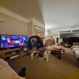 20250222_190048-standard.jpg