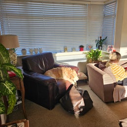20250413_185813-standard.jpg