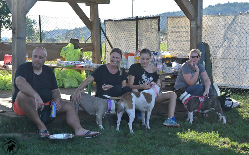 Bull Terrier Slovenija