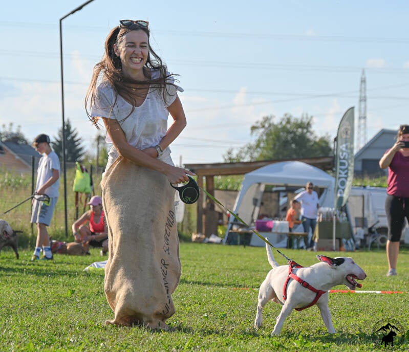 Bull Terrier Slovenija