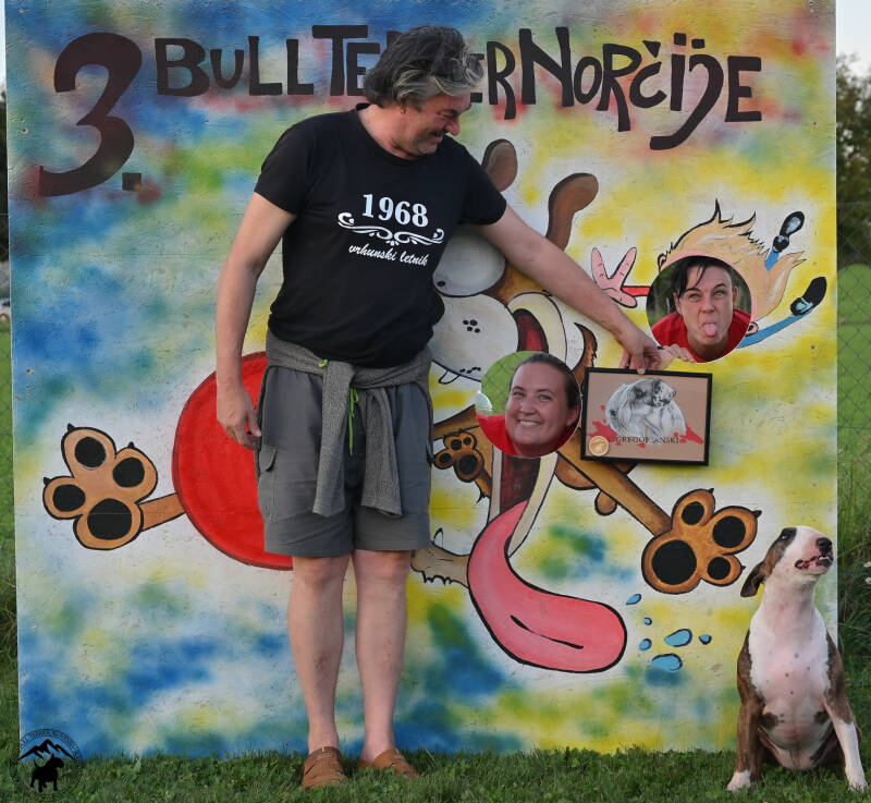 Bull Terrier Slovenija