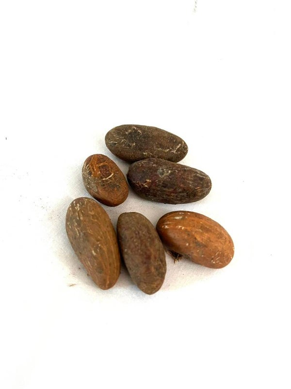 Petit Cola