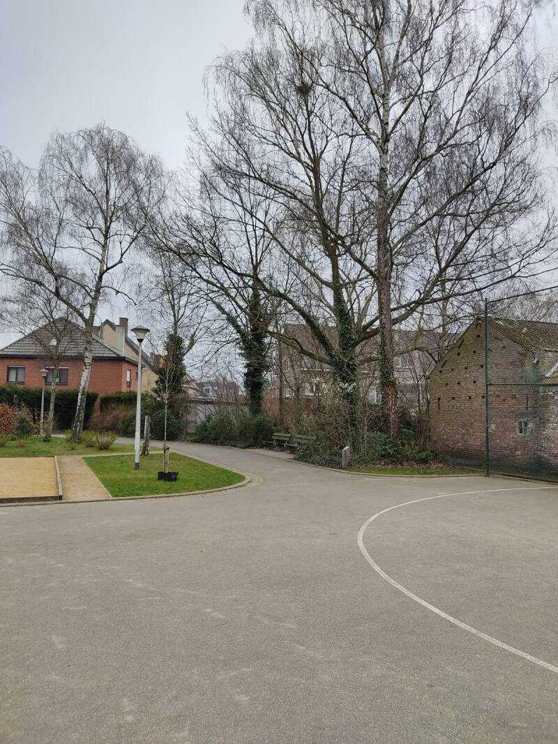 Flamingoplein 2023