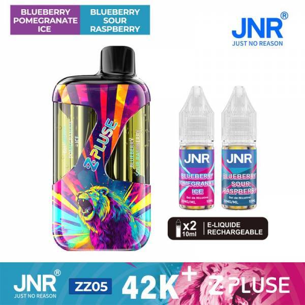 JNR ZPLUSE 42 K BLUEBERRY POMEGRANATA ICE & BLUEBERRY RASPBERRY