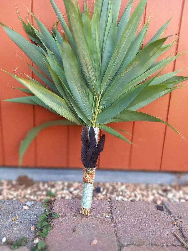 Chakapa met de Veren van de  raaf
