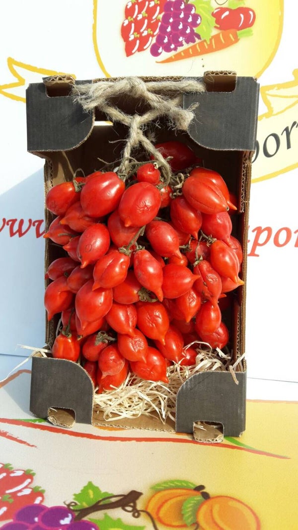 Pomodorino del Piennolo del Vesuvio DOP cartonato da 1,5 kg
