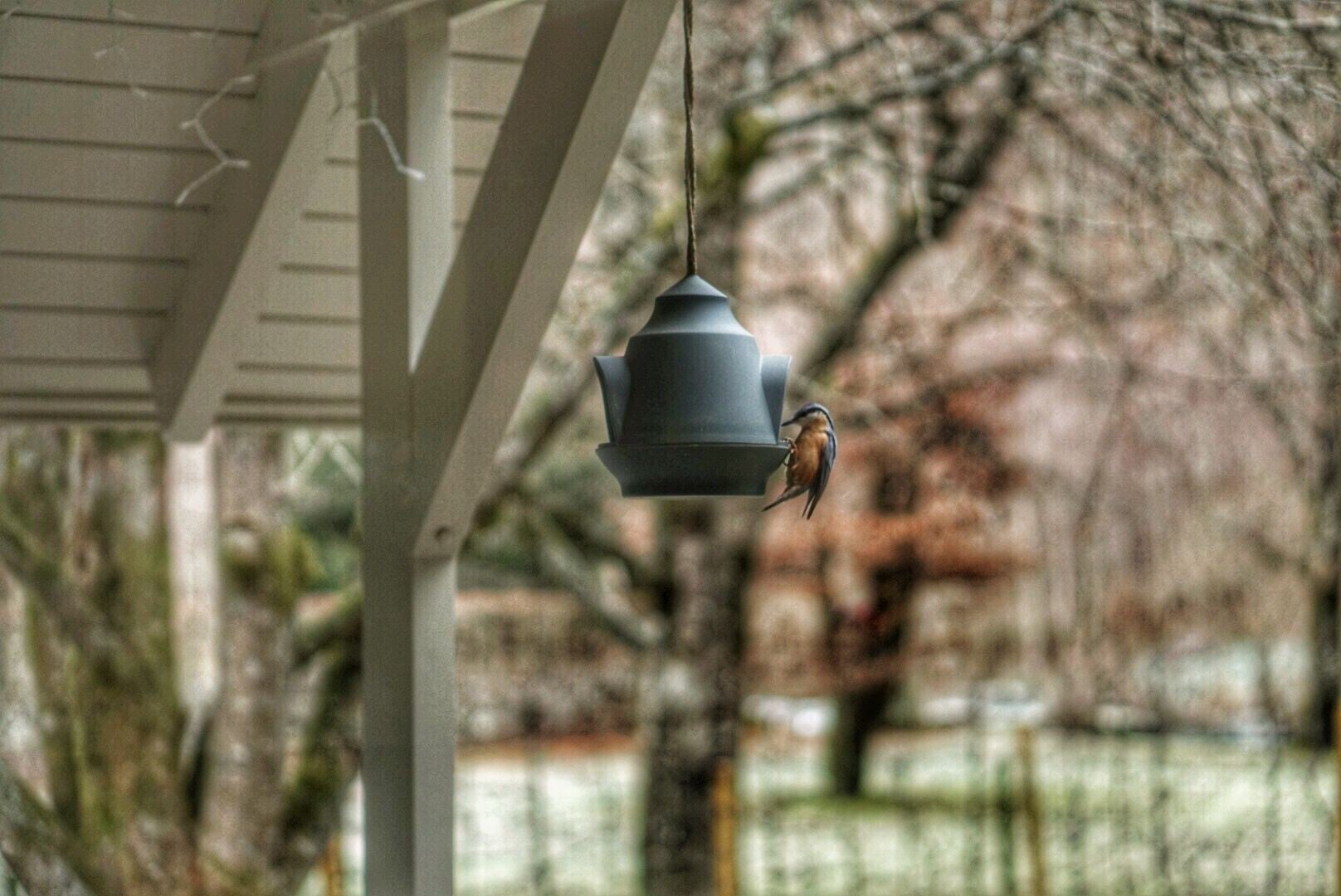 Natuurhuisje met omheinde tuin huren 