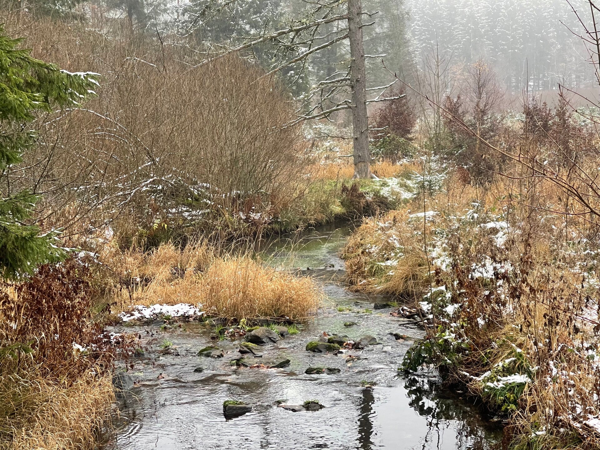 chalet ardennen aan riviertje