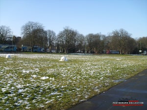 Mid-summercommon63rdFeb-1.jpg