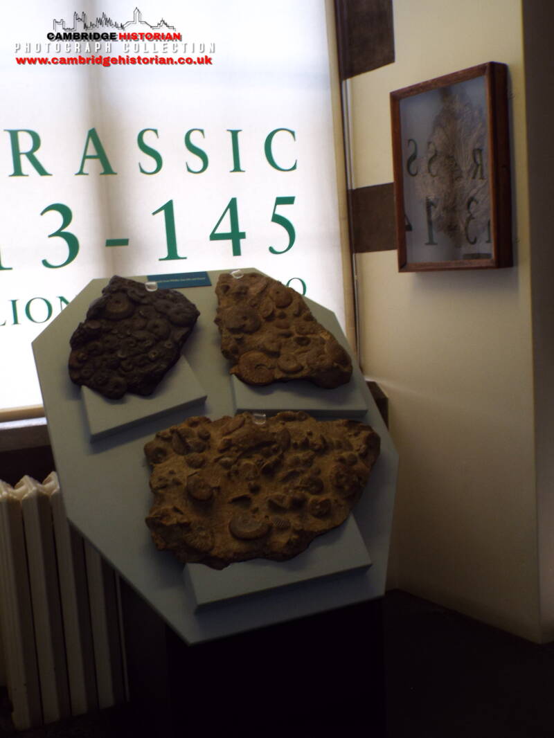 cambridgehistoriancouk_forresearchpurposeonly_nounauthorisedcopying_040-2.jpg