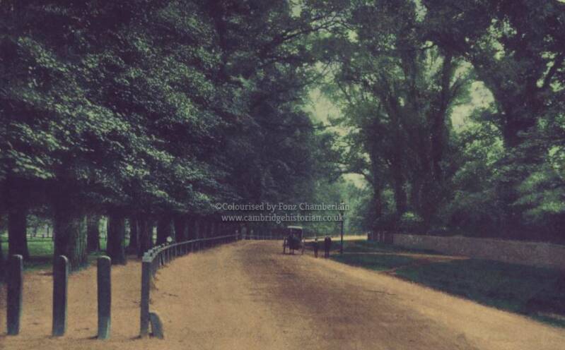 cambridgehistoriancouk_forresearchpurposeonly_nounauthorisedcopying_52-6.jpg