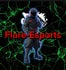 Flare-Esports