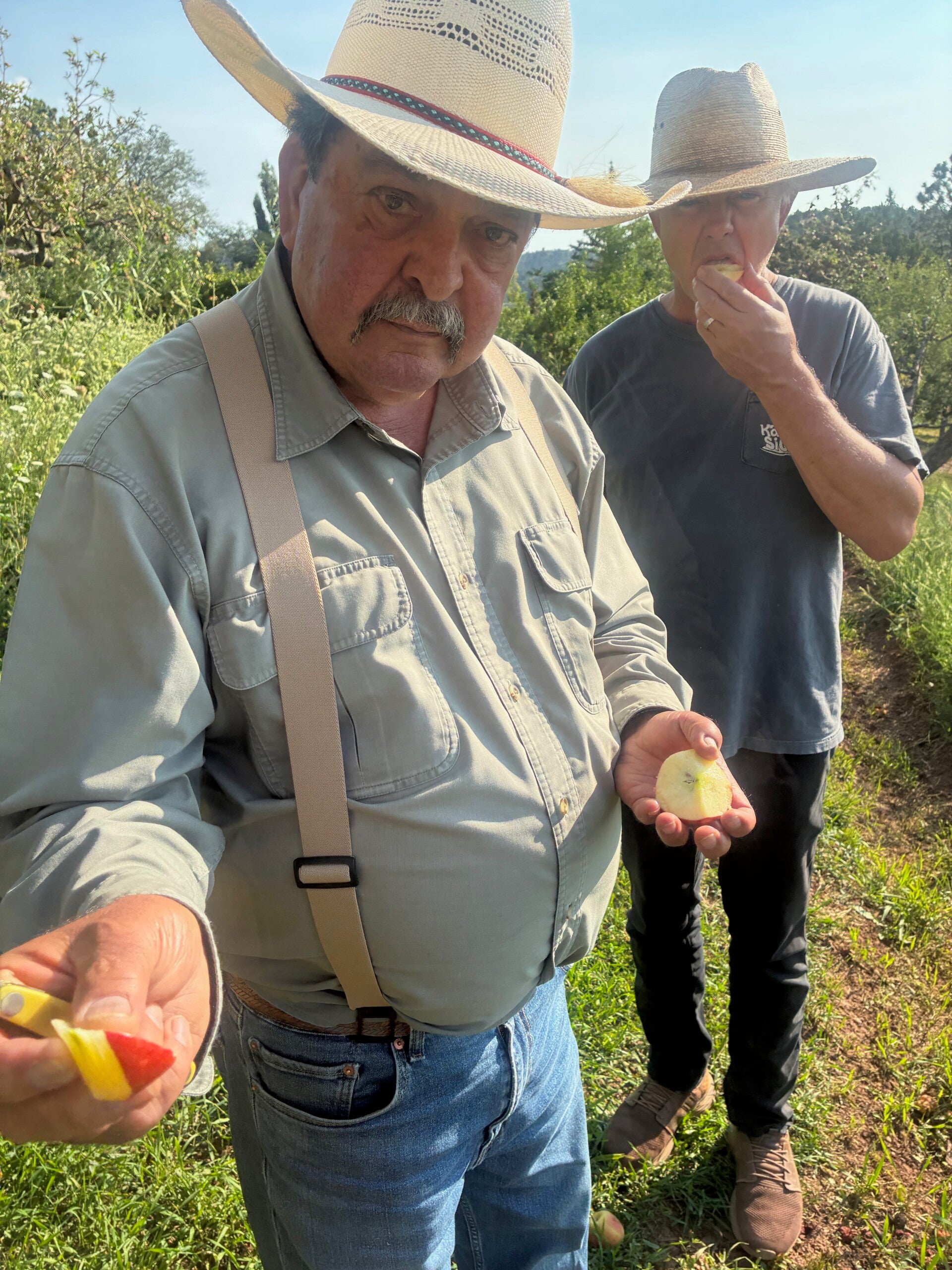 Ray Baca, Draney Orchard, Silver City NM, Hurley NM, High Rolls Mountain Park, apple orchard