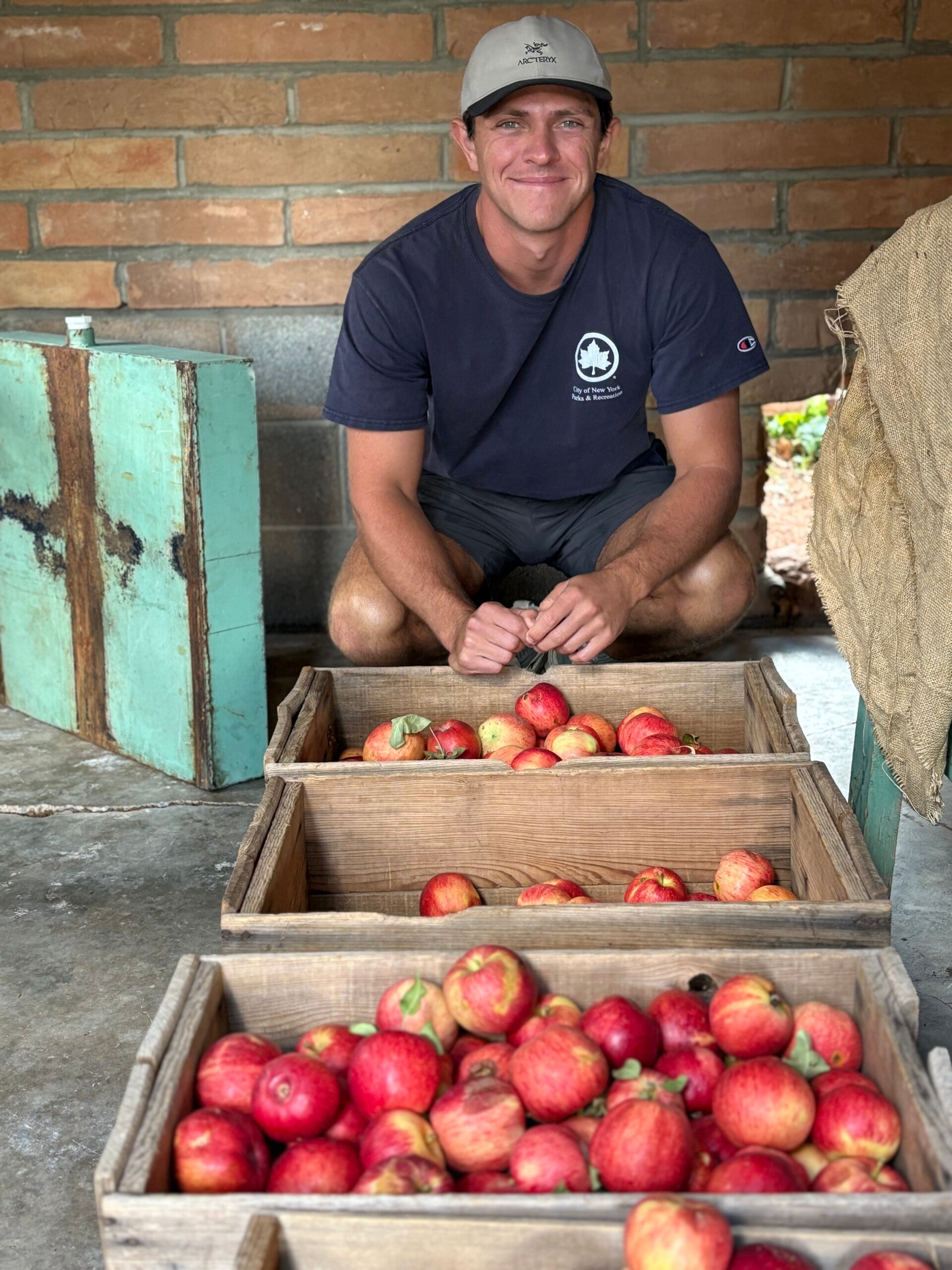cider, craft cider, handmade cider, Black Jack Orchard, New Mexico cider, apples, High Rolls Mountain Park
