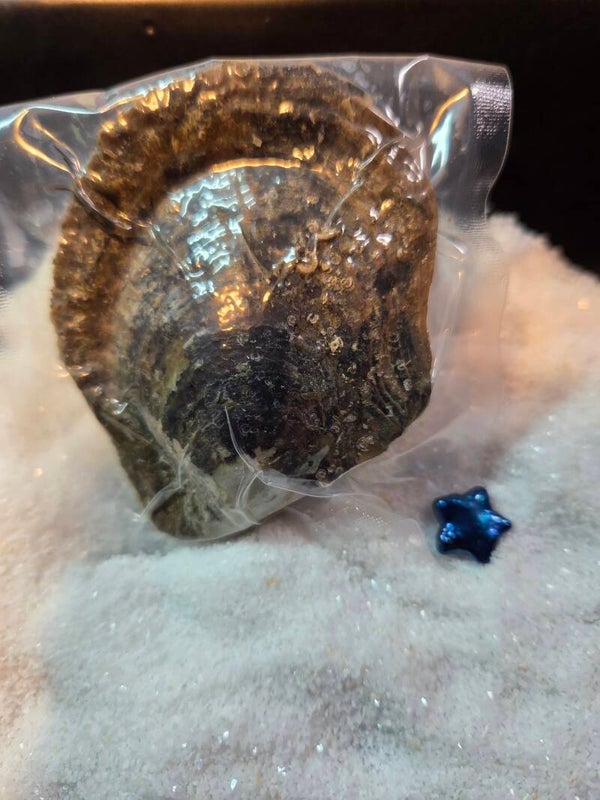 Akoya Oyster Colored Star Shape For Reveal