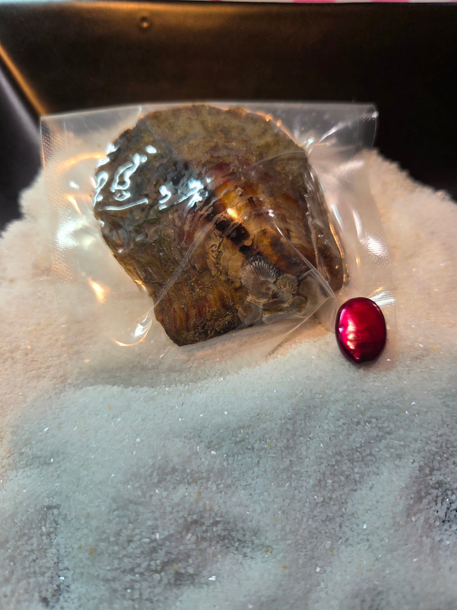 Akoya Oyster Colored Oval Shape For Reveal