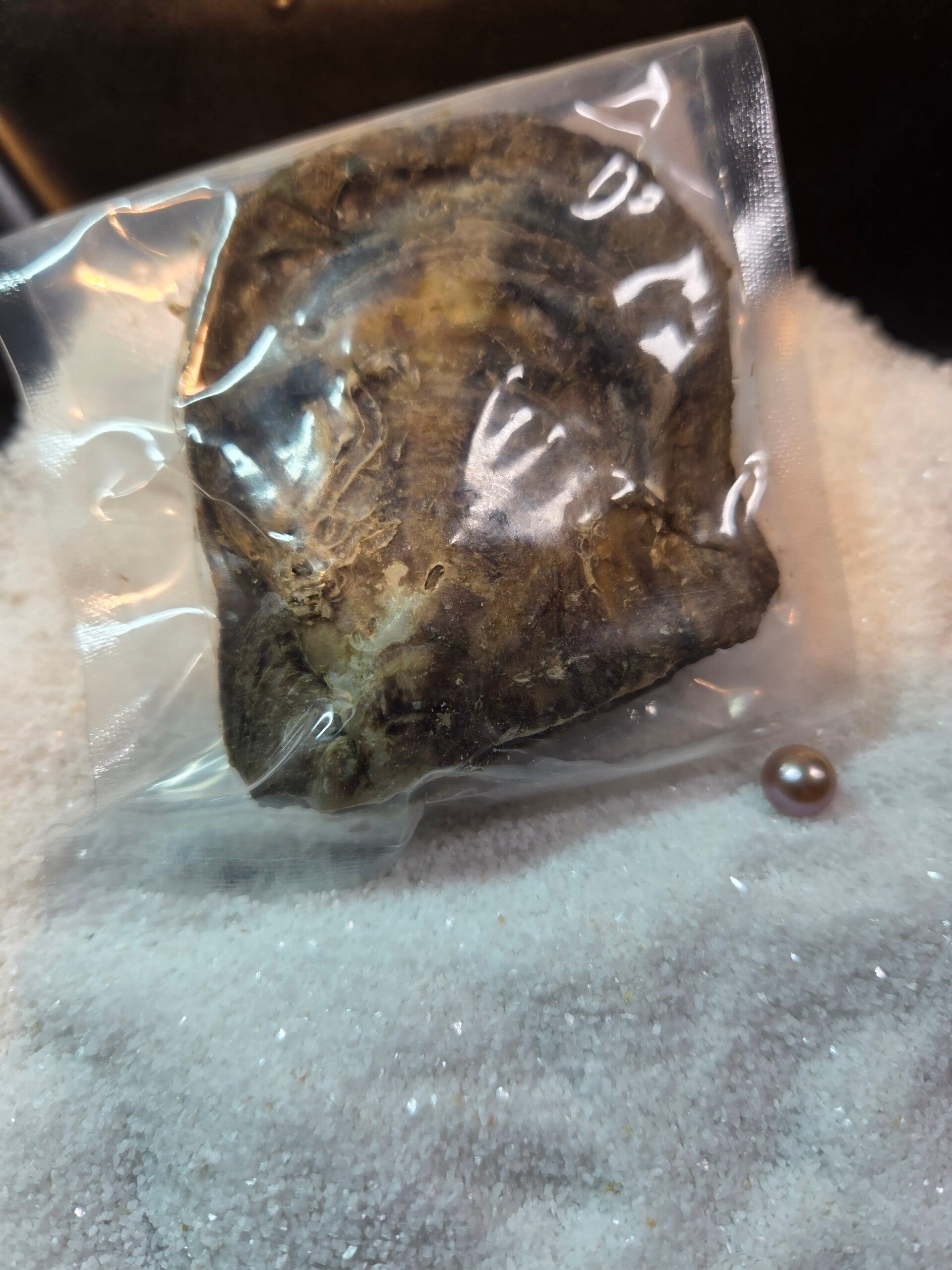 Akoya Oyster Edison Natural For Reveal