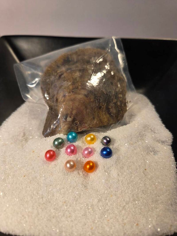 Ten Piece Colored Round Oyster for Reveal